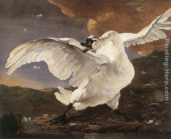 Jan Asselyn The Threatened Swan
